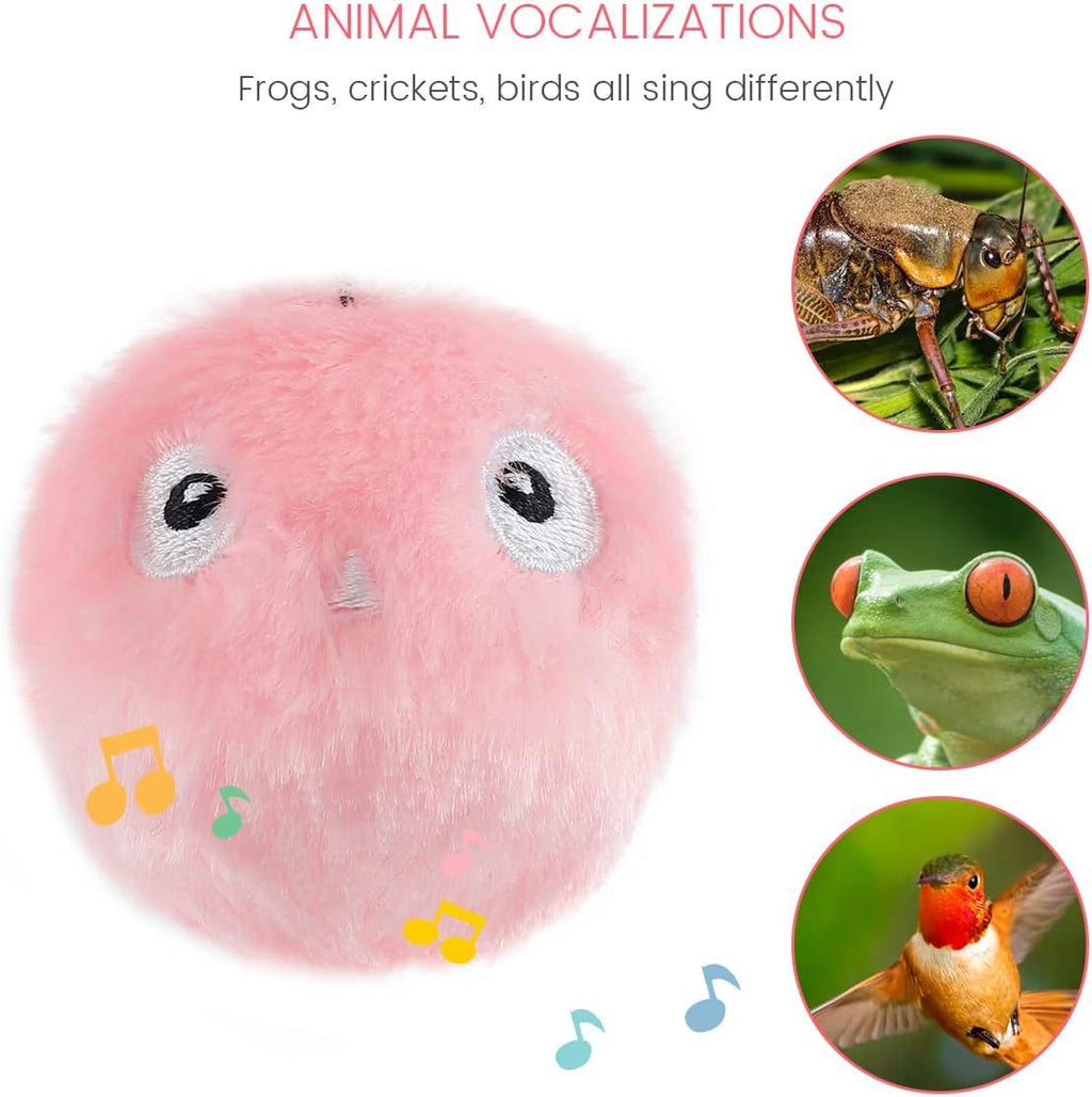 Interactive Cat Ball Toy, Interactive Indoor Cat Toy with Bird Calls, Frogs and Crickets, Plush Balls for Cats Hunting (3Pcs)